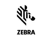 斑馬 Zebra